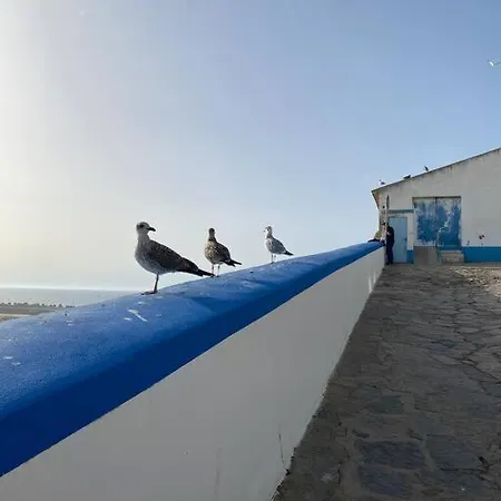 Villa Beach, Ocean View & Bright House