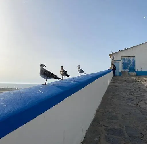 Villa Beach, Ocean View & Bright House